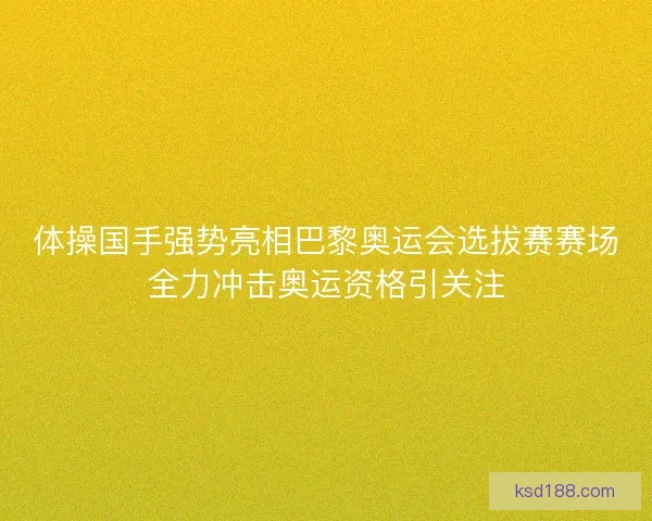 体操国手强势亮相巴黎奥运会选拔赛赛场全力冲击奥运资格引关注